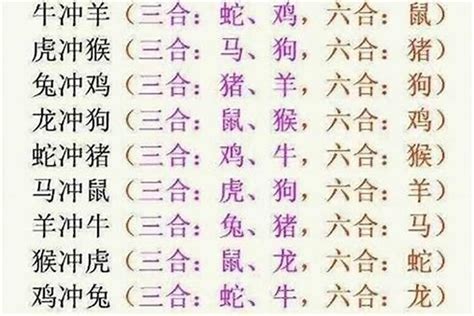 什麼是六合|十二生肖三合、六合、相冲详解